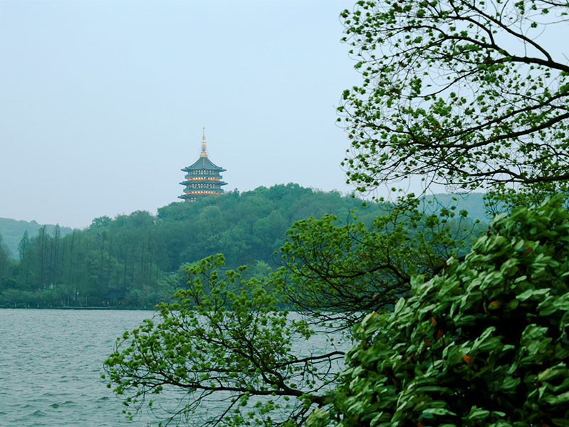 人文杭州，父母們來了！河南礦山第十三屆孝文化感恩旅游節(jié)第三站